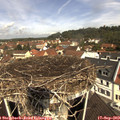 11_10-nest.jpg