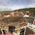 11_15-nest.jpg