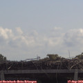 11_20-mast.jpg