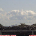11_25-mast.jpg