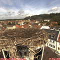 11_25-nest.jpg