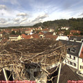 11_30-nest.jpg