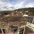 11_40-nest.jpg