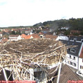 11_55-nest.jpg