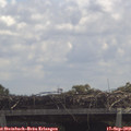 12_05-mast.jpg