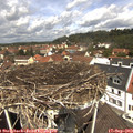 12_05-nest.jpg
