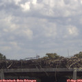 12_10-mast.jpg