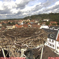12_10-nest.jpg