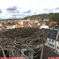 12_15-nest.jpg