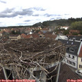 12_20-nest.jpg