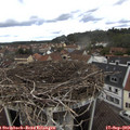 12_25-nest.jpg
