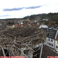 12_30-nest.jpg