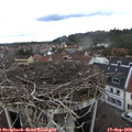12_35-nest.jpg
