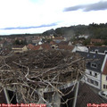 12_45-nest.jpg