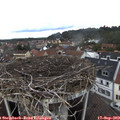 12_50-nest.jpg
