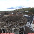 12_55-nest.jpg