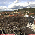 13_00-nest.jpg