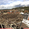 13_05-nest.jpg