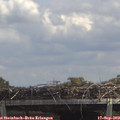 13_10-mast.jpg