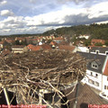 13_10-nest.jpg