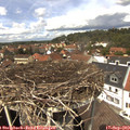 13_15-nest.jpg