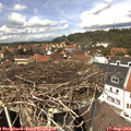 13_25-nest.jpg