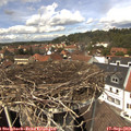 13_30-nest.jpg