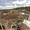 13_35-nest.jpg