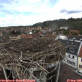 13_40-nest.jpg