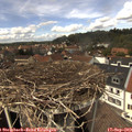 13_45-nest.jpg