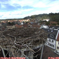 13_50-nest.jpg