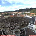 13_55-nest.jpg