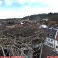 14_00-nest.jpg