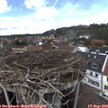 14_10-nest.jpg