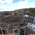 14_15-nest.jpg