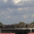14_20-mast.jpg