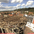 14_20-nest.jpg