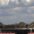 14_25-mast.jpg
