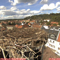 14_25-nest.jpg