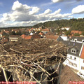 14_30-nest.jpg