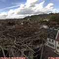 14_35-nest.jpg