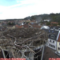 14_40-nest.jpg