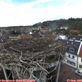 14_45-nest.jpg