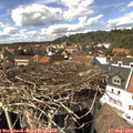 14_55-nest.jpg
