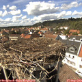 15_00-nest.jpg