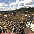 15_05-nest.jpg