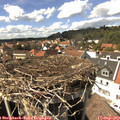 15_10-nest.jpg