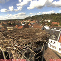 15_25-nest.jpg