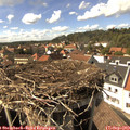 15_30-nest.jpg