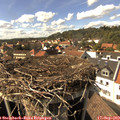 15_45-nest.jpg